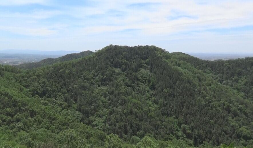 老寨山省級自然保護區