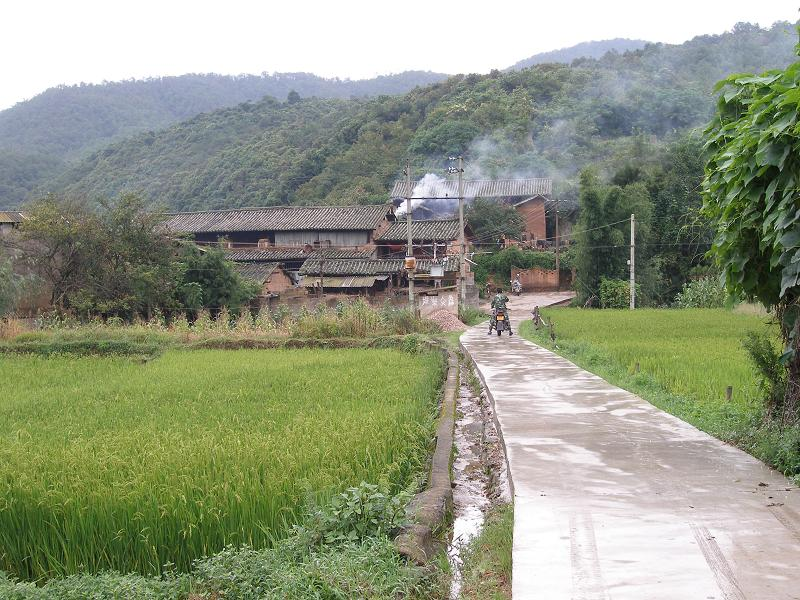 竹箐口村(雲南省昆明市安寧市青龍鎮下轄村)