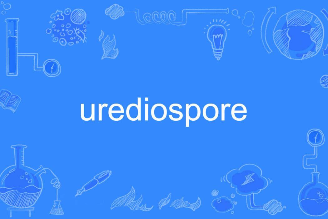 urediospore