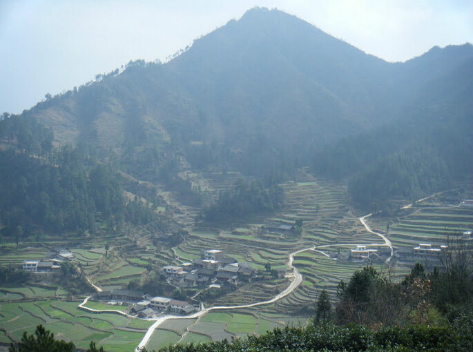 團山村(雲南省楚雄市西舍路鄉安樂甸村委會下轄村)