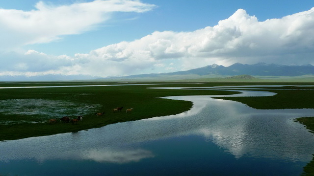 伏爾加河