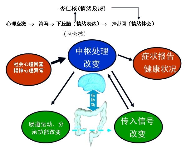 功能性解決