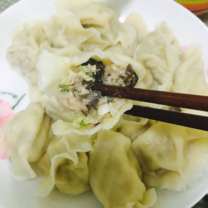 白菜豆腐素水餃