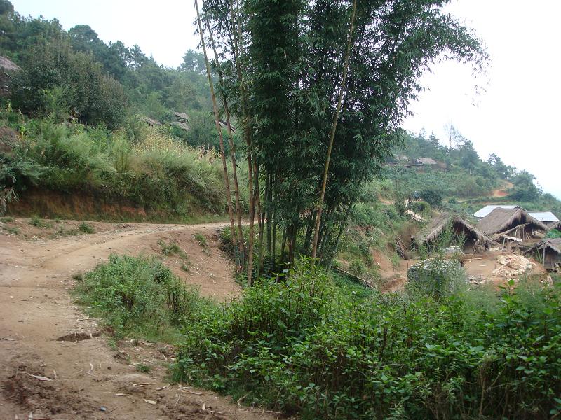 進村道路