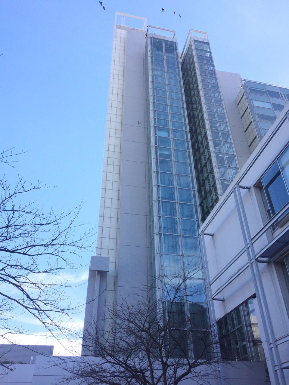 北九州市立大學(北九州大學)