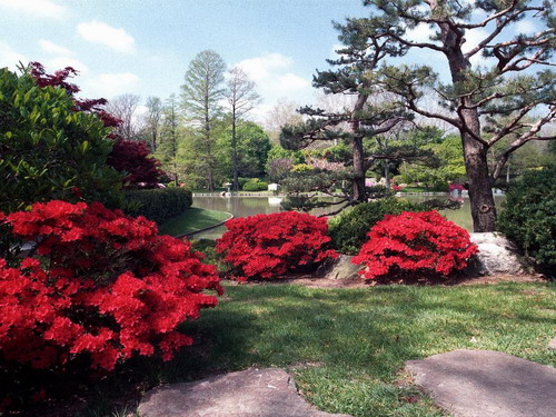 密蘇里植物園