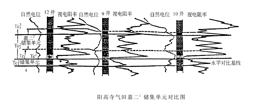 碳酸鹽岩儲集單元對比