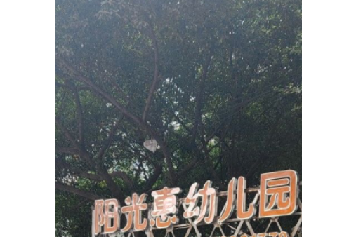 重慶南岸陽光惠幼稚園