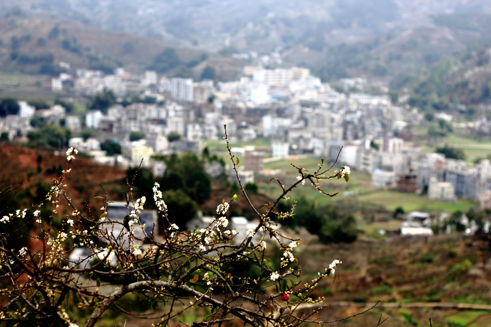 茶山鎮(廣東省信宜市茶山鎮)