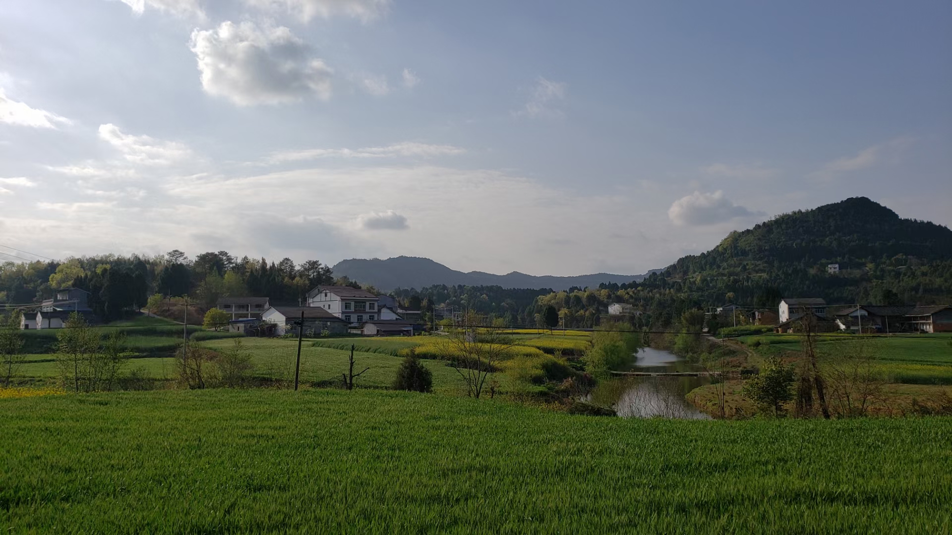 雙柳村