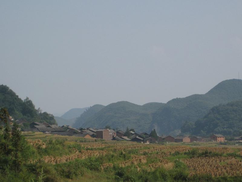 西洛村(雲南省文山州廣南縣舊莫鄉下轄村)