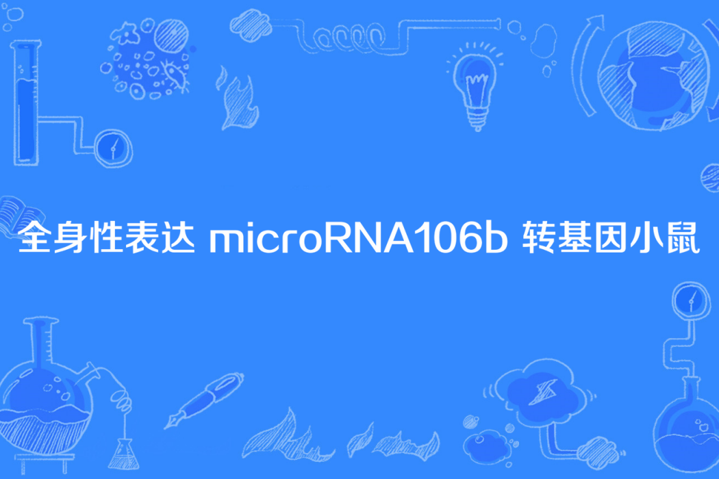 全身性表達 microRNA106b 轉基因小鼠