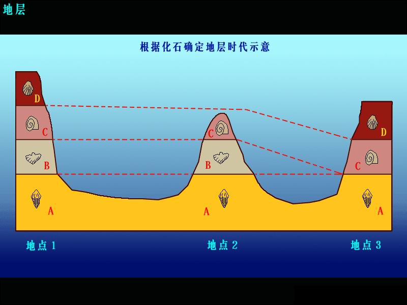 化石層序律示意圖