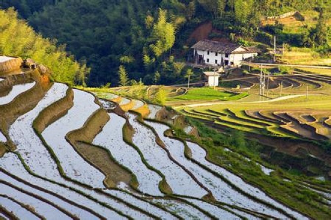 上堡梯田風景區