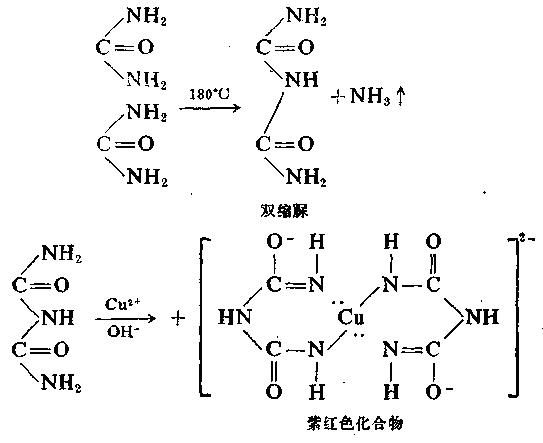 卵清蛋白