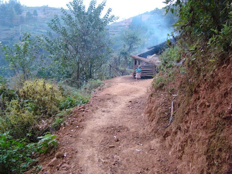 入村道路