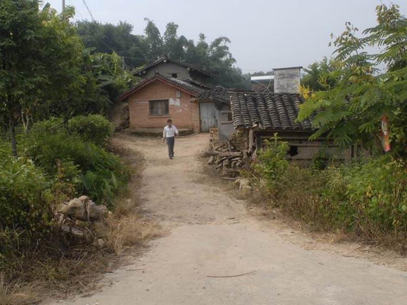 村莊道路