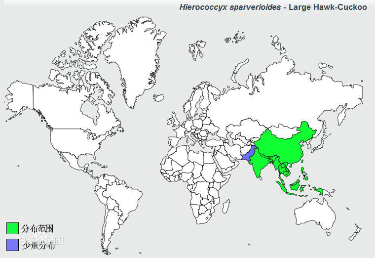 鷹鵑分布圖