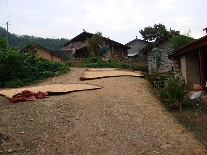 聯營村(芒卡鎮南下轄村)