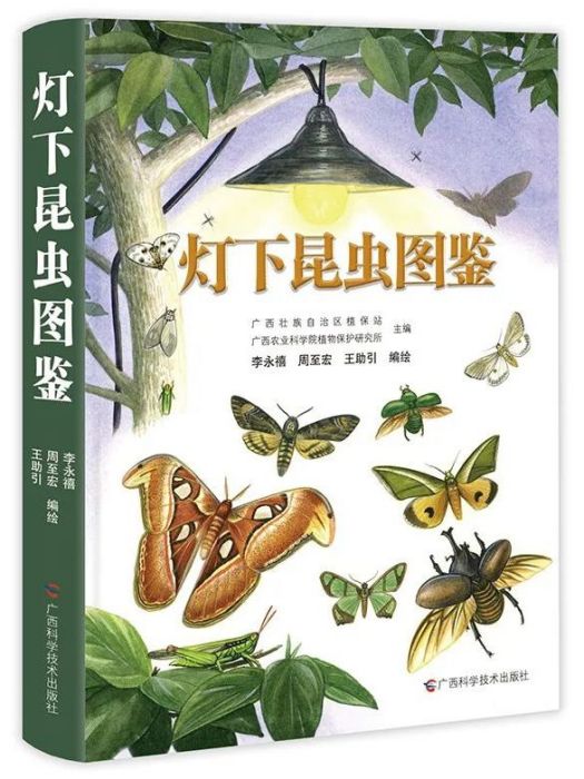 燈下昆蟲圖鑑(2024年廣西科學技術出版社出版的圖書)