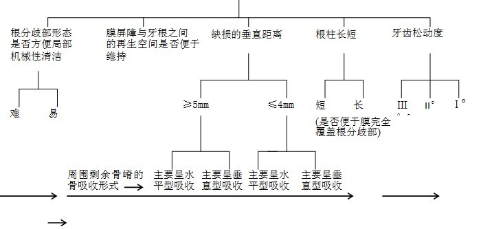 局部解剖形態