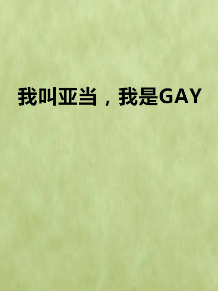 我叫亞當，我是GAY