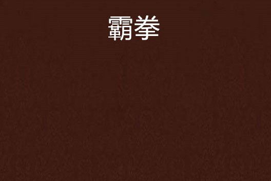 霸拳(網路小說)