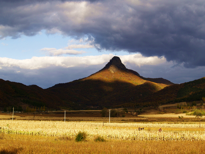 帽兒山林場