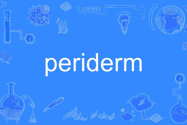 periderm