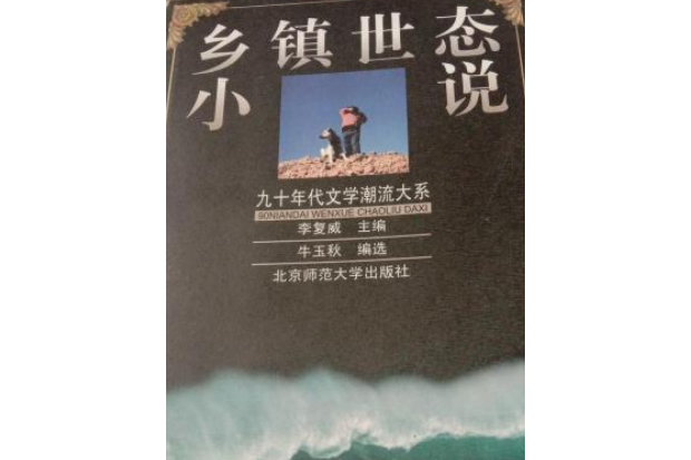 鄉鎮世態小說