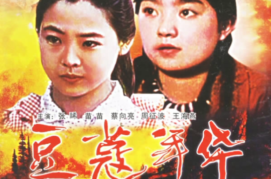 豆蔻年華(1989年邱中義、徐耿聯合執導電影)