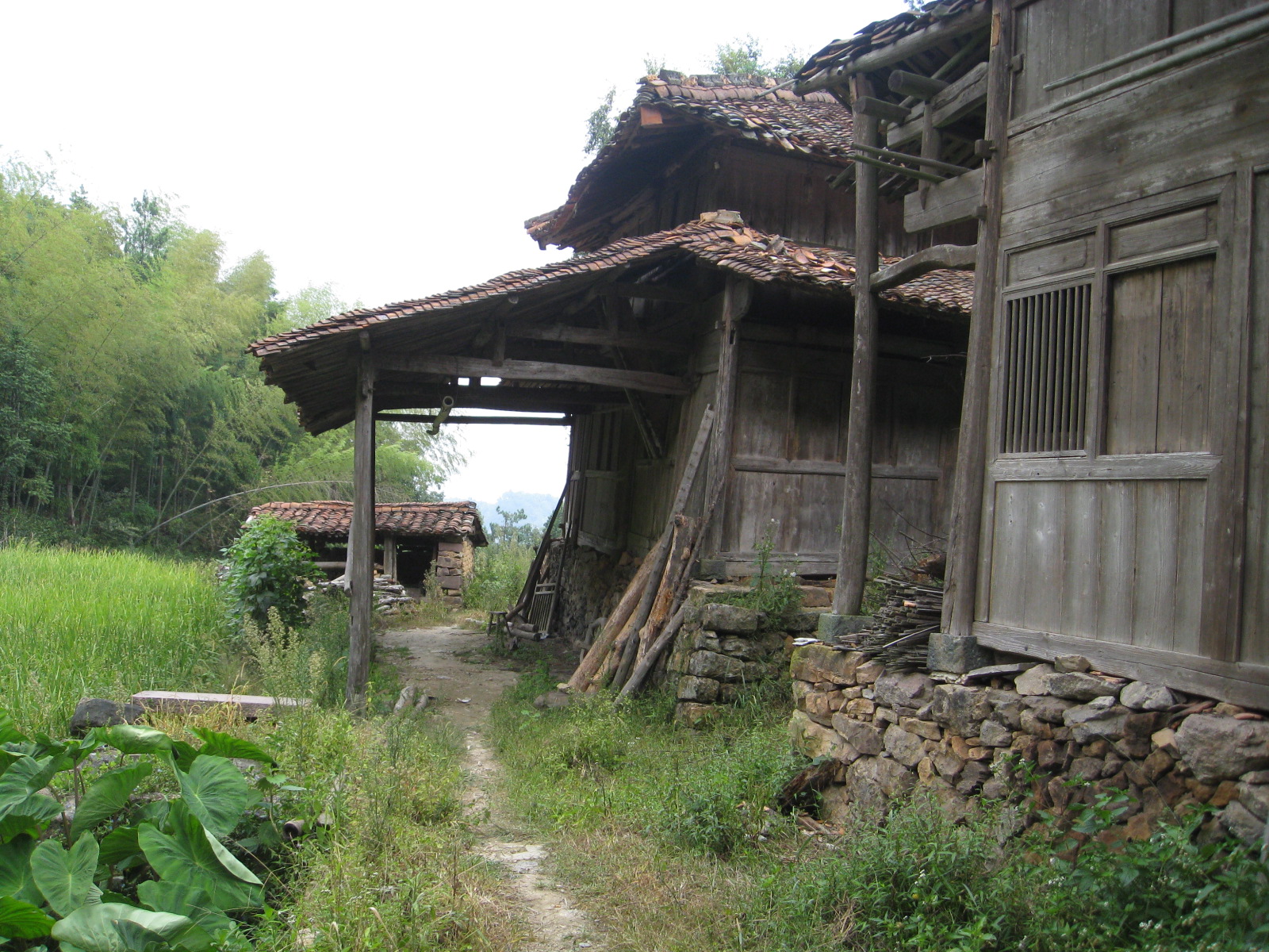 嶺根嶺古道