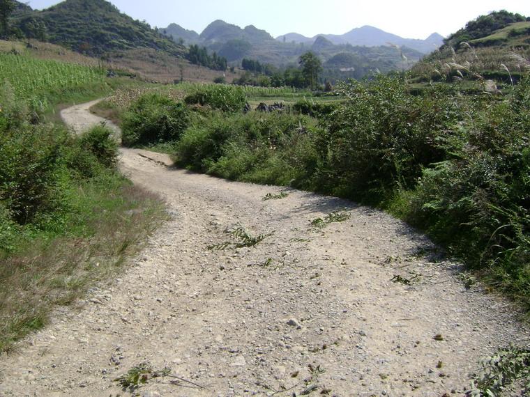 進村道路