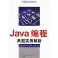 Java編程典型實例解析