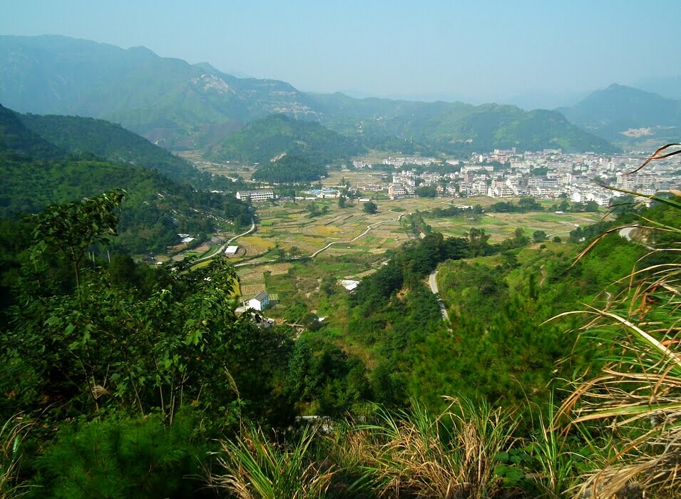 中塘村(廣西南寧橫縣雲表鎮下轄村)