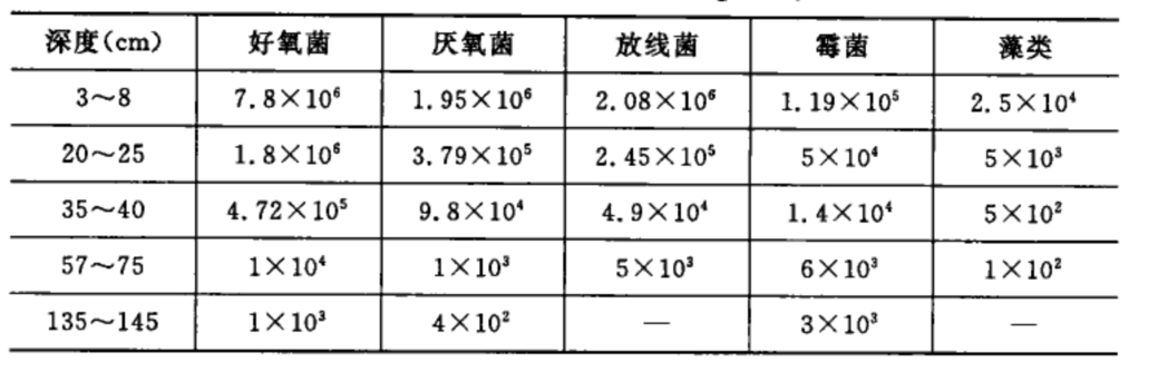 土地處置