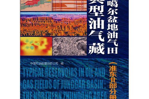 準噶爾盆地油氣田典型油氣藏-準東北部分冊