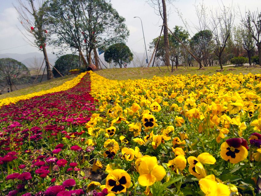 奉節濱河公園