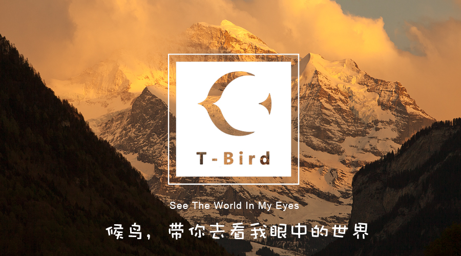 深圳市候鳥國際旅行社有限公司