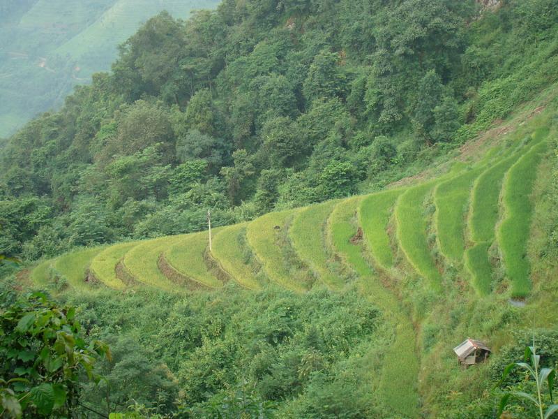 班洪大寨自然村