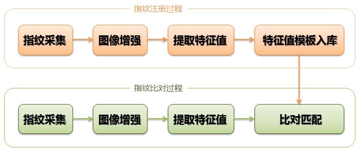 3D指紋