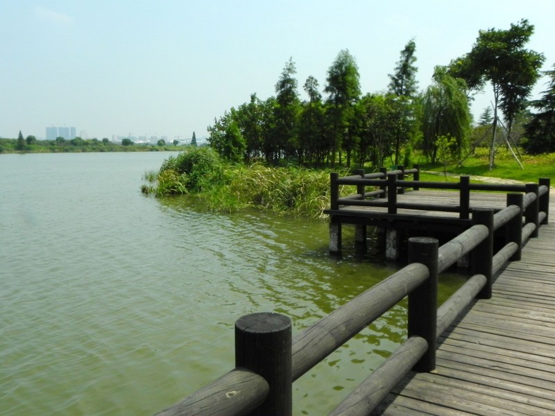 鏡湖公園(江蘇省盛澤鎮鏡湖公園)