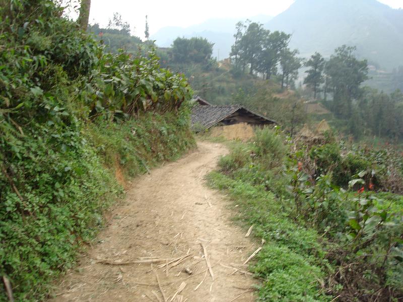 米湯沖自然村道路衛生