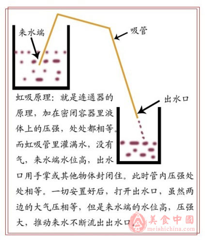 乾紅葡萄酒