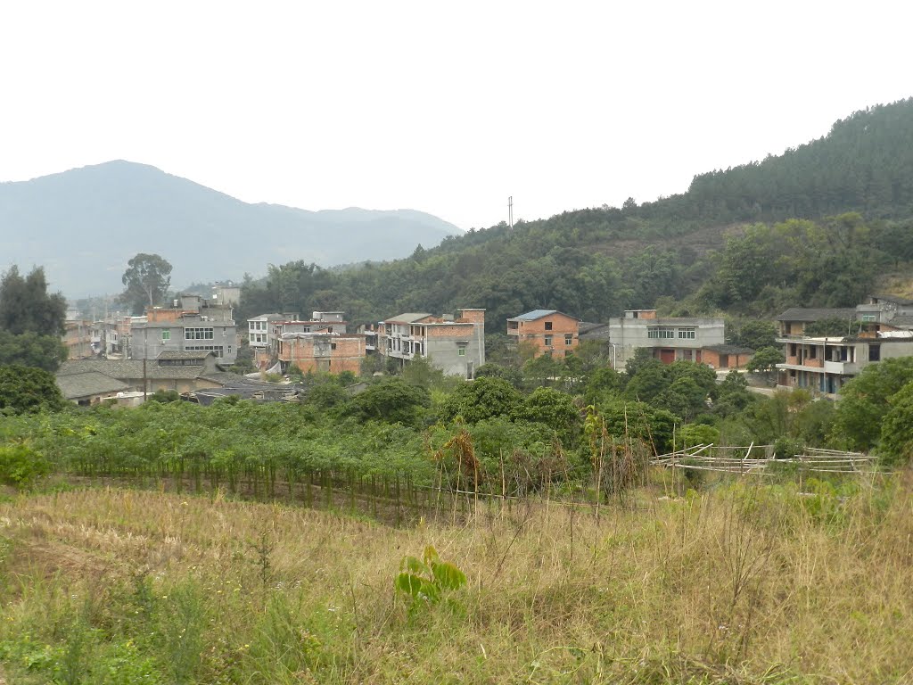 汶溪村(安徽省黃山市休寧縣下轄村)