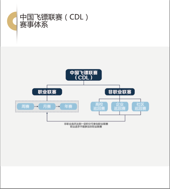 中國飛鏢聯賽