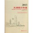 天津統計年鑑2013 精裝