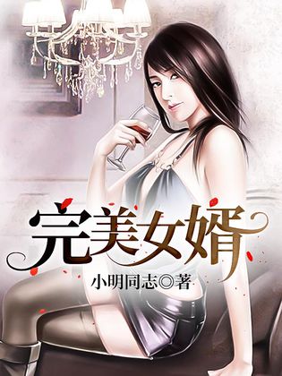 完美女婿[精品]