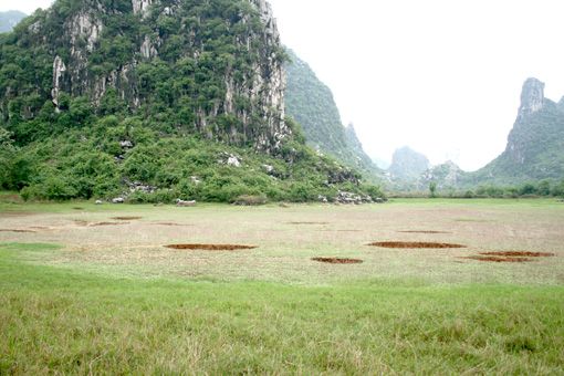 長龍村(黑龍江省哈爾濱市方正縣寶興鄉下轄村)