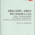 南姚家莊村調查：村域經濟視角下的農民收入與支出